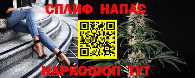 трава Малгобек